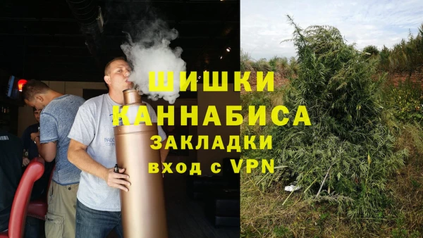 твердый Михайлов