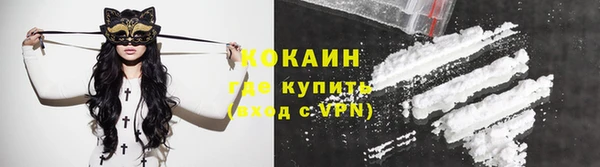 твердый Михайлов