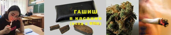 твердый Михайлов