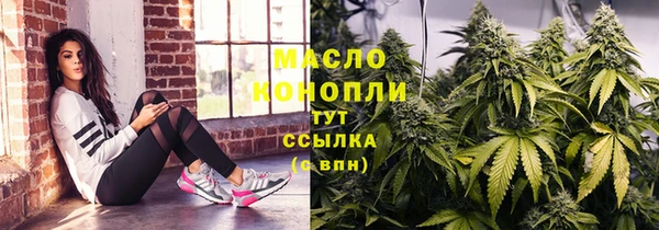 твердый Михайлов