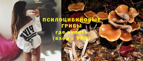 spice Михайловка