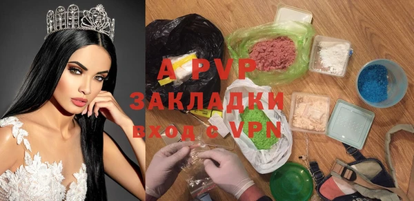 твердый Михайлов