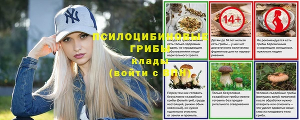 spice Михайловка