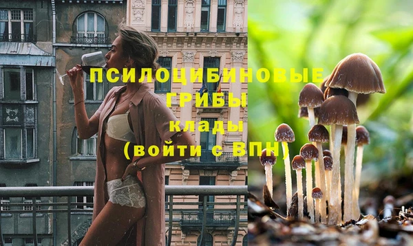 прущая мука Михайловск
