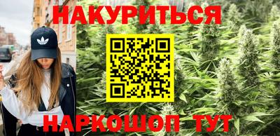 гидра Кандалакша