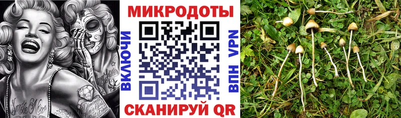 Галлюциногенные грибы GOLDEN TEACHER  гидра зеркало  Геленджик 