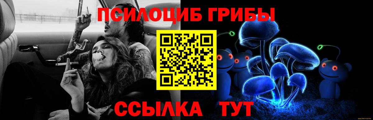 Псилоцибиновые грибы Magic Shrooms  Геленджик 