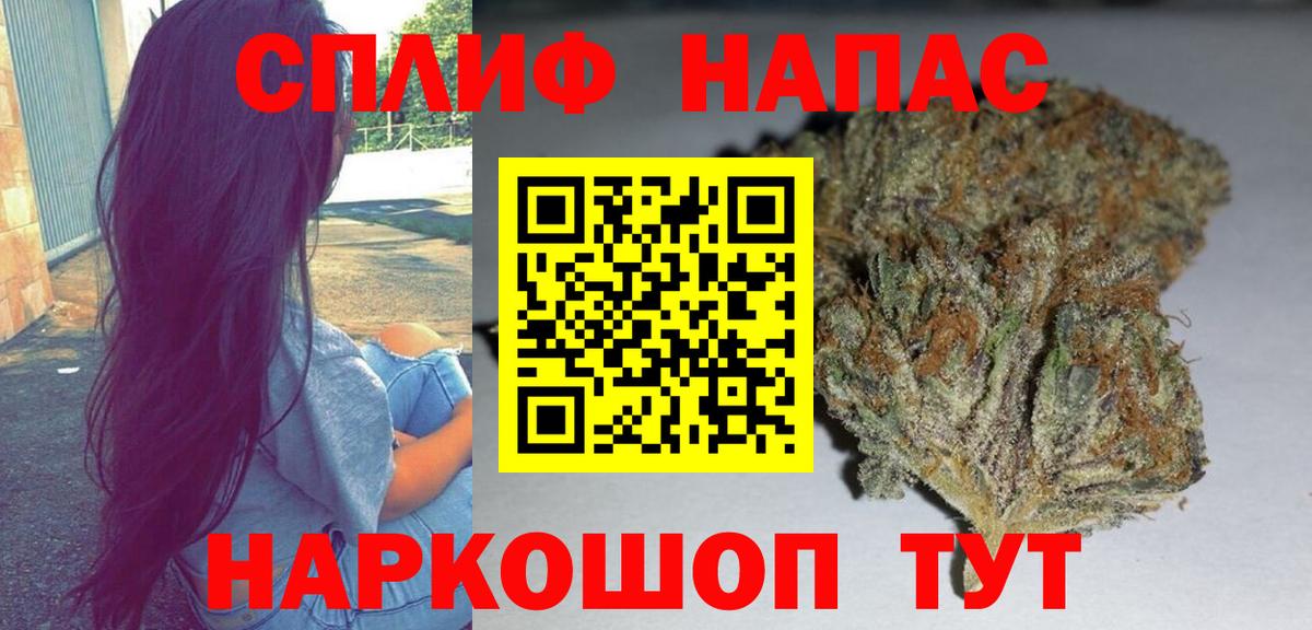 Бошки Шишки семена  Шишки марихуана MAZAR  Геленджик  Канабис гибрид 